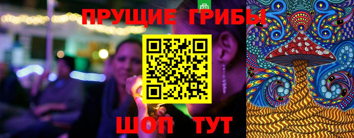 Галлюциногенные грибы GOLDEN TEACHER  Вход с VPN  закладки  Вязьма 
