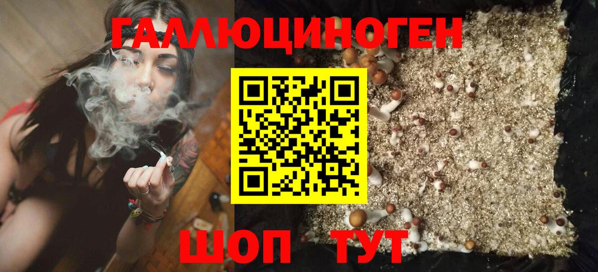 Псилоцибиновые грибы Psilocybine cubensis Вязьма